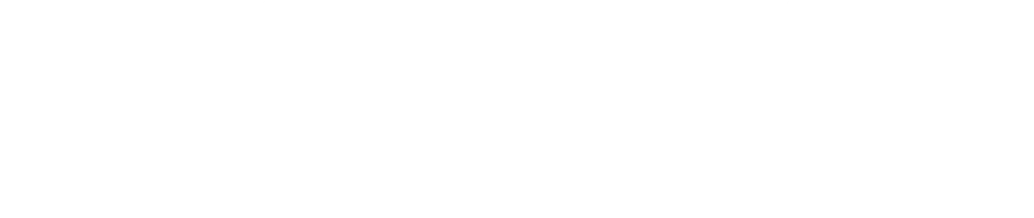 logo VDSYS monochrome blanc